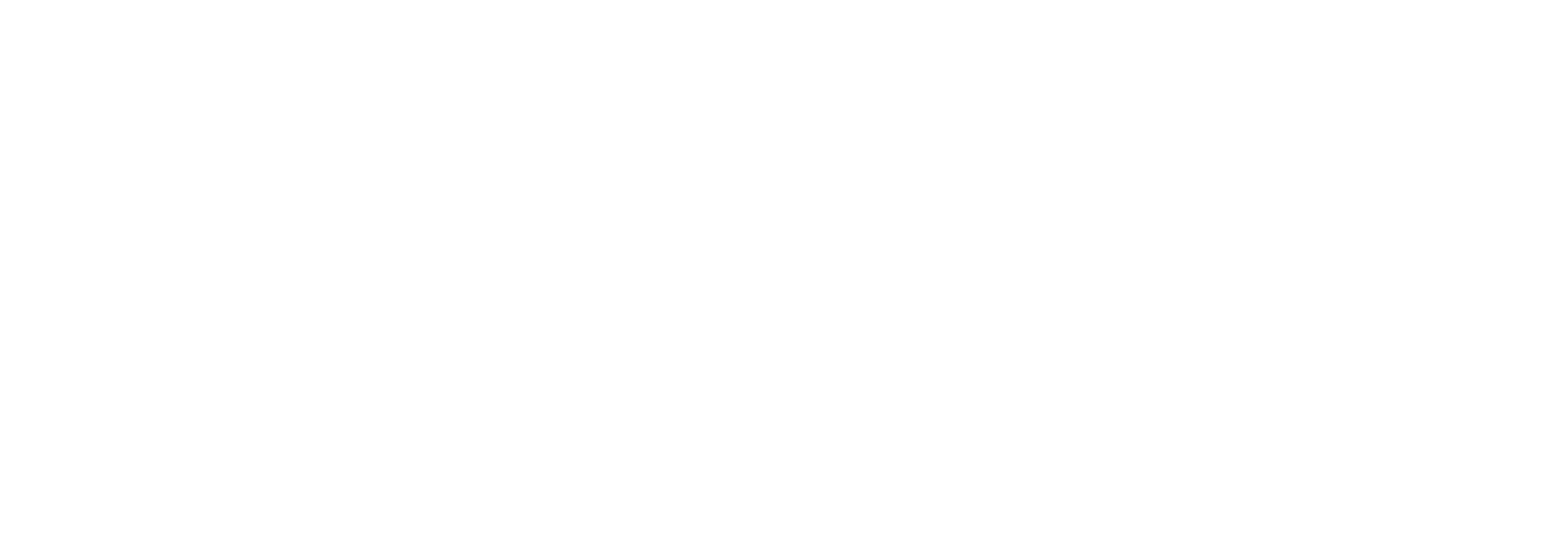 Levithias Nachhilfe Logo weiß